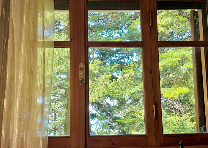 Forest Cottage Top Of The World
