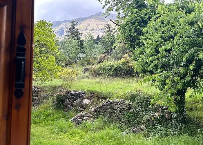 Forest Cottage Top Of The World