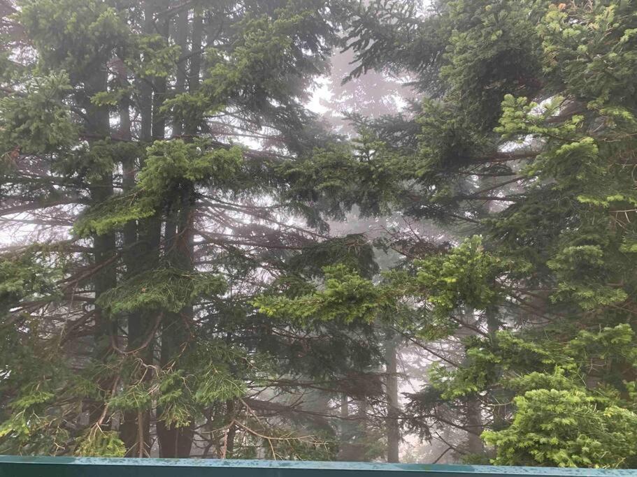 Holiday home Forest Of The World *