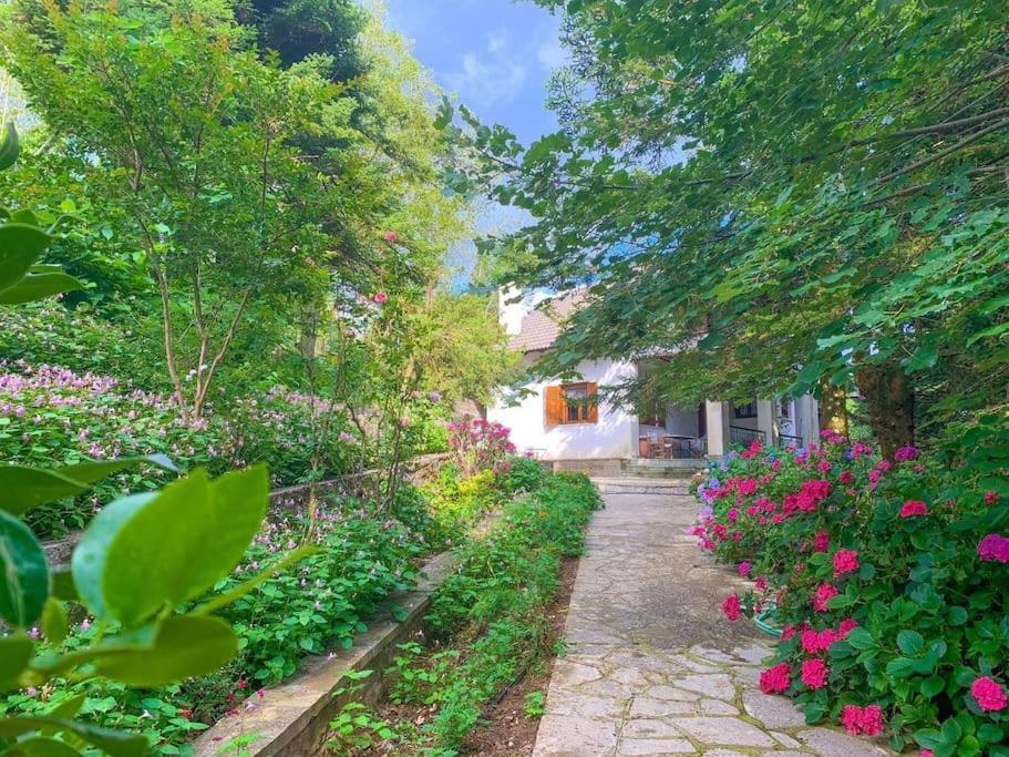 Forest Of The World Holiday home Vourgareli