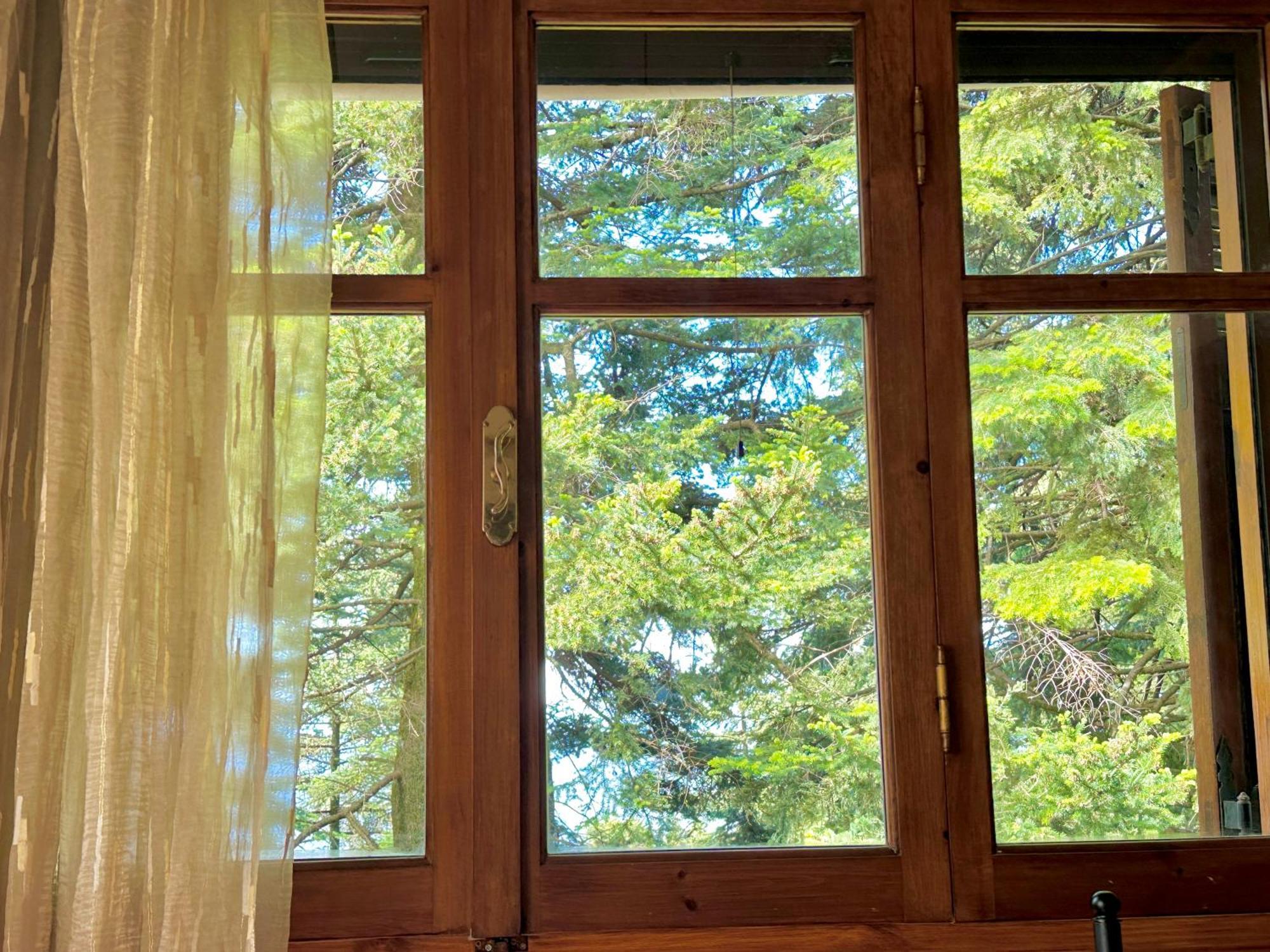 Forest Of The World Holiday home
