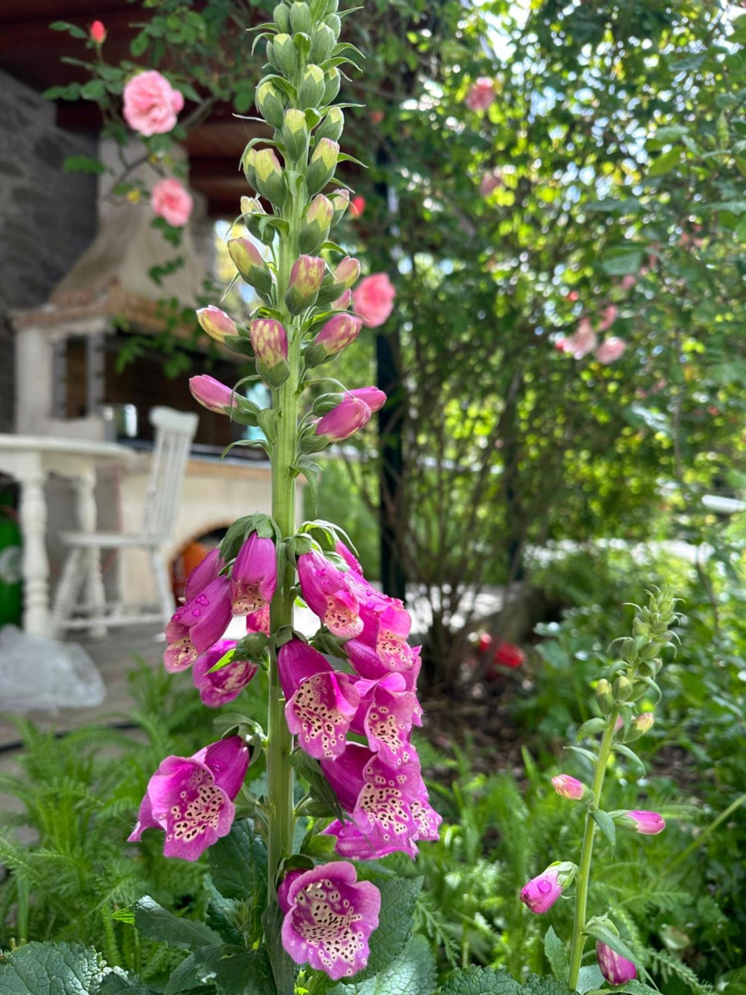 Holiday home Forest Of The World Vourgareli