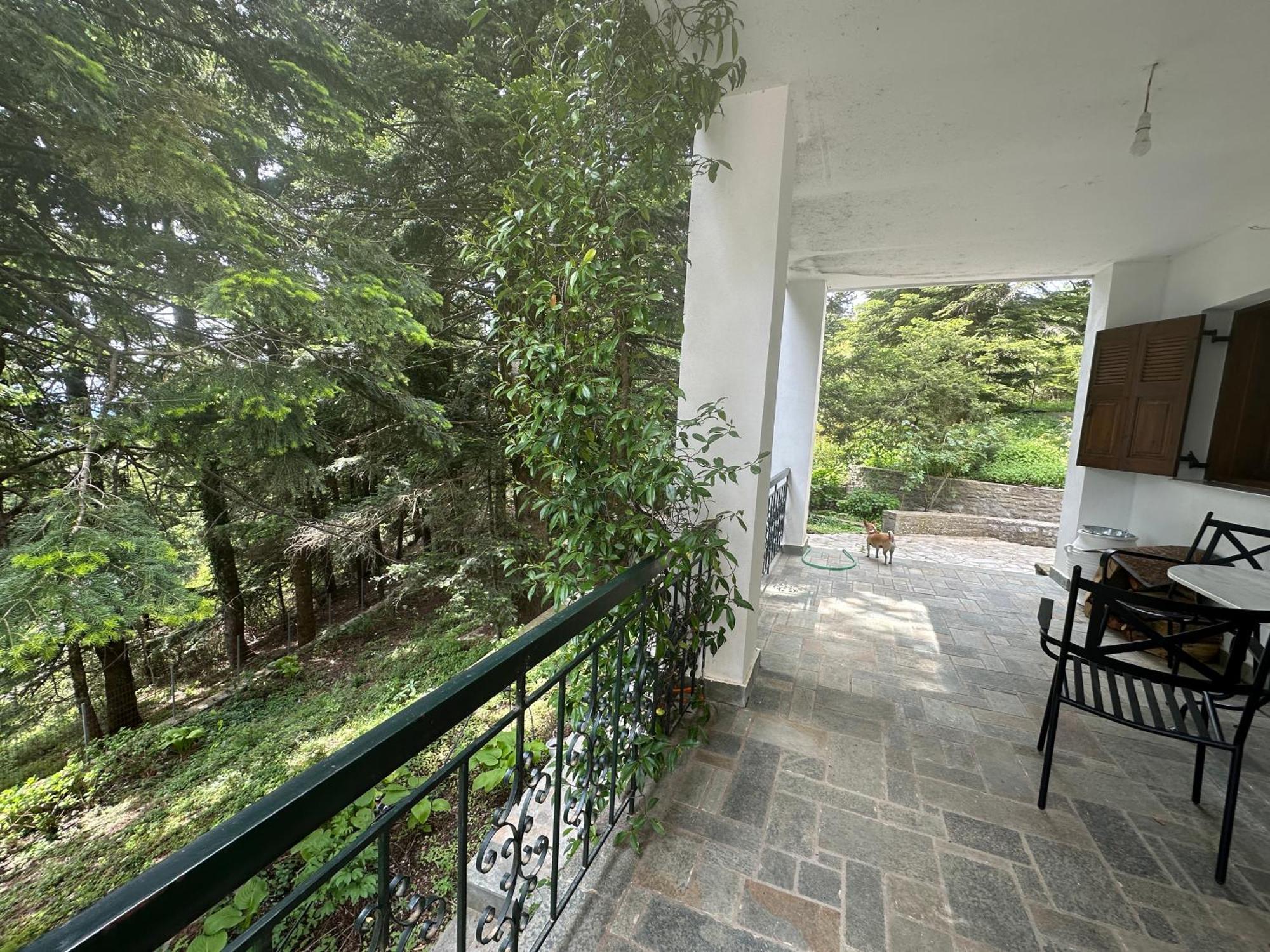 Forest Of The World Holiday home