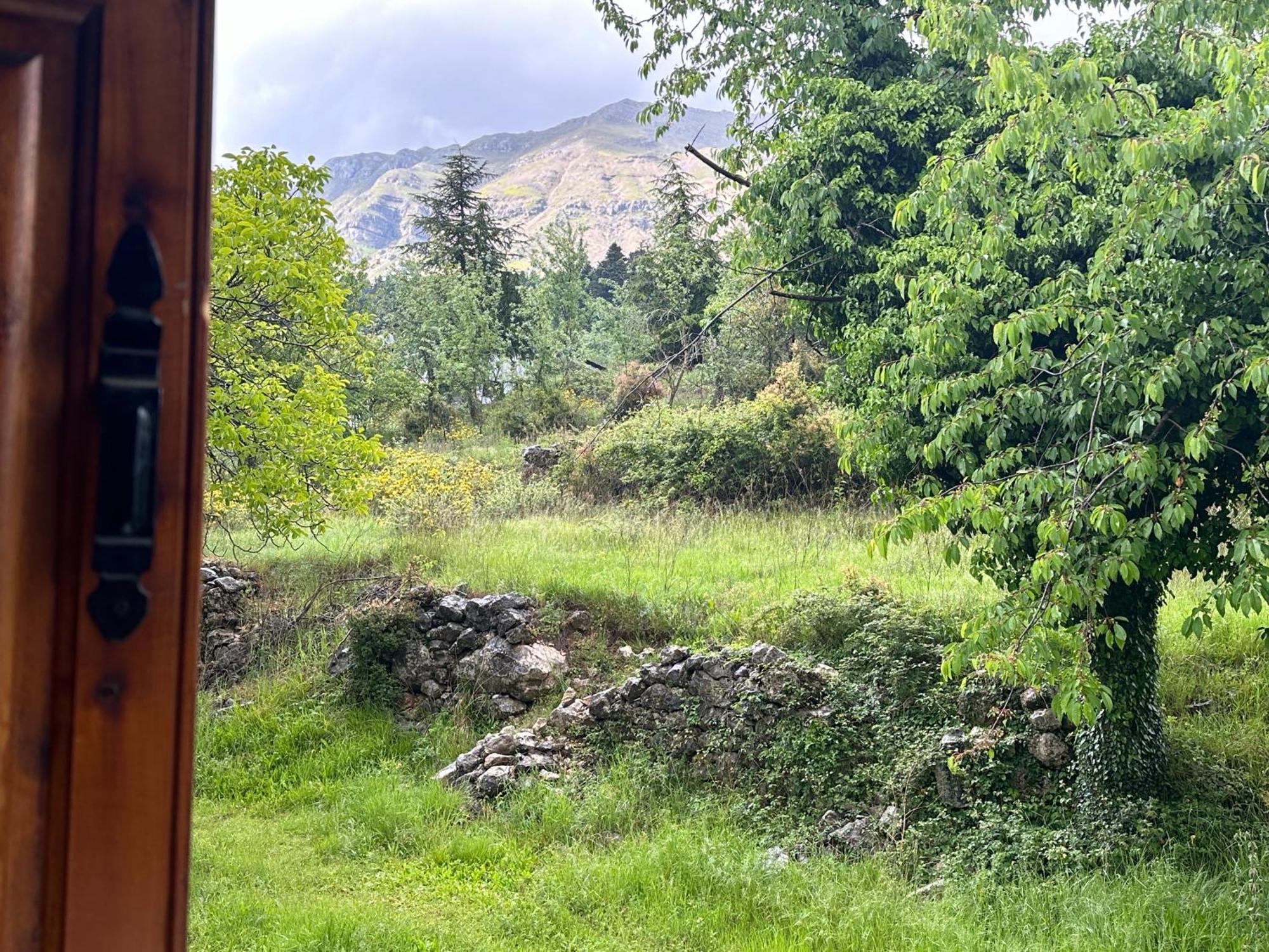 Forest Of The World Holiday home