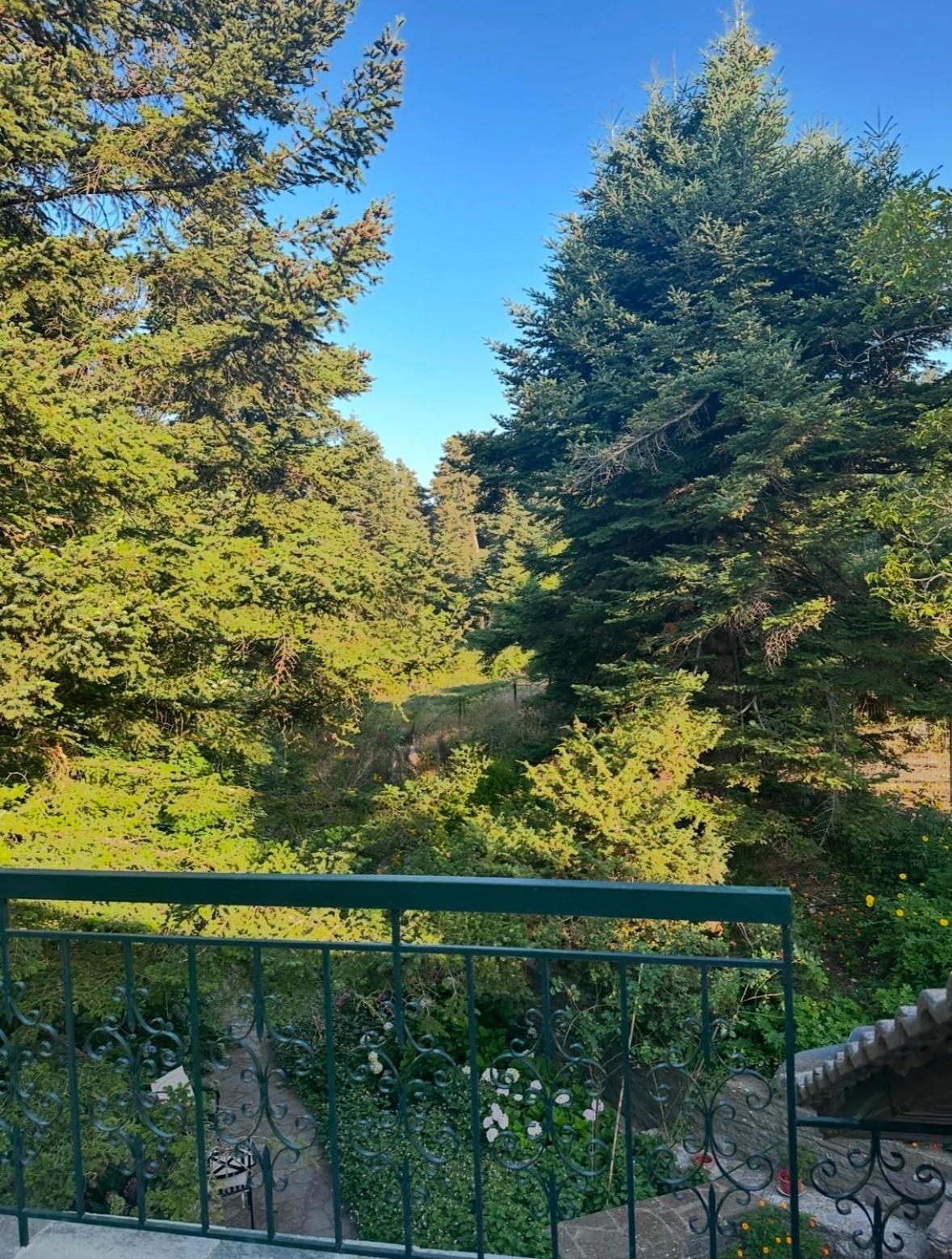 Forest Of The World Holiday home Vourgareli